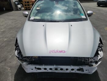 Bonnet