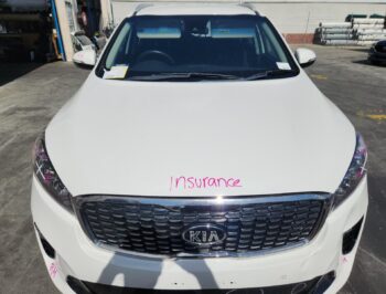 Bonnet