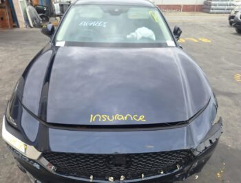 Bonnet