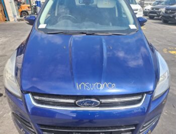 Bonnet