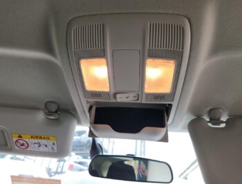 Courtesy Light (all)