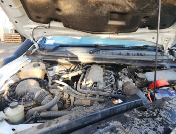 2019 Mazda BT- 50 - Used Engine for Sale