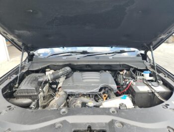2023 GWM Cannon Vanta - Used Engine for Sale