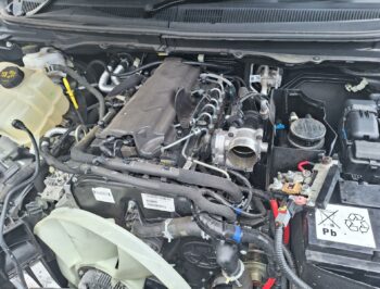 2022 Ford Everest - Used Engine for Sale