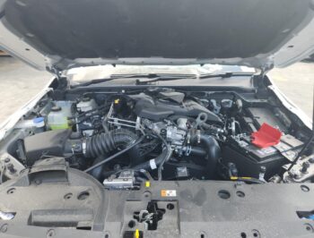 2023 Volkswagen Amarok - Used Engine for Sale