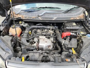 2016 Ford Ecosport - Used Engine for Sale