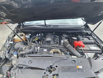 2019 Ford Ranger - Used Engine for Sale