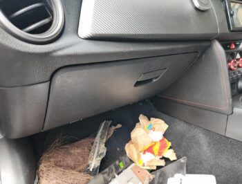 Glove Box