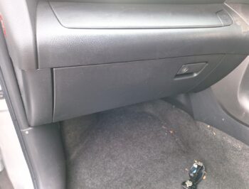 Glove Box (lower)