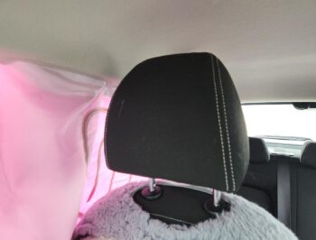 Headrest Right Front
