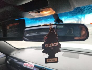Interior Mirror