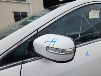 Left Door Mirror
