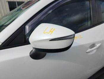 Left Door Mirror