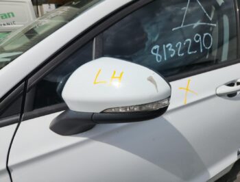 Left Door Mirror