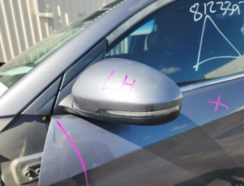 Left Door Mirror