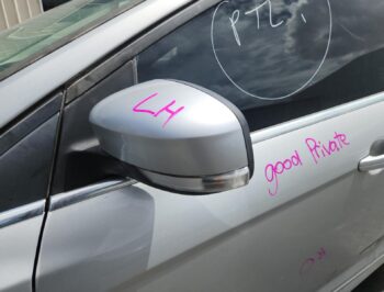 Left Door Mirror