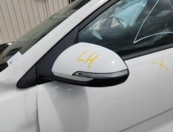 Left Door Mirror