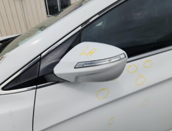 Left Door Mirror