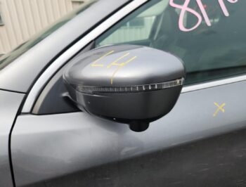Left Door Mirror