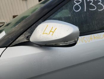 Left Door Mirror