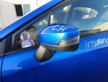 Left Door Mirror
