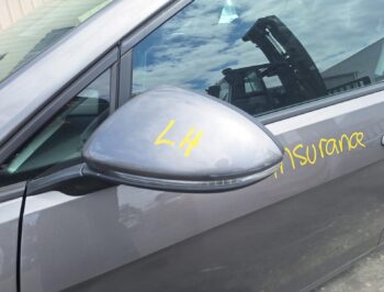 Left Door Mirror