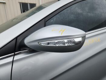 Left Door Mirror
