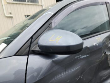 Left Door Mirror