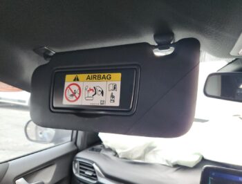 Left Front Sun visor