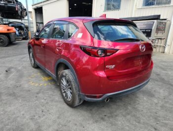 Left Rear