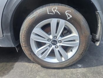 Left Rear Wheel Mag
