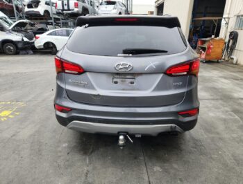 Rear