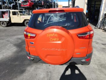 Rear